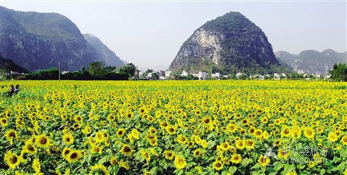  Nanning Tourism. jpg