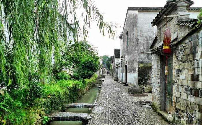  Wuzhen