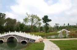  Introduction to Hongze Lake Forest Park