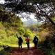  Guanshan Forest Park