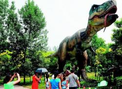  Introduction to attractions of Taiyuan Zoo