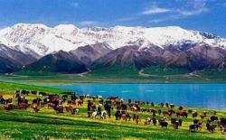 Introduction to Sayram Lake Scenic Spot