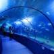  Beihai Underwater World