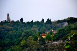  Introduction to Fengchi Mountain Forest Scenic Spot in Tongshan