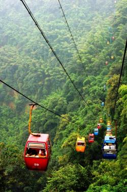  Introduction to Bamboo Sea Scenic Spots in Southern Sichuan