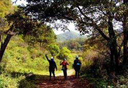  Guanshan Forest Park