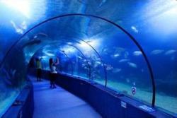  Introduction to Beihai Underwater World Scenic Spots