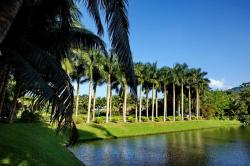  Introduction to Xinglong Tropical Botanical Garden