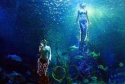  Introduction to Changsha Underwater World Scenic Spots