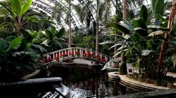  Introduction to Tianjin Tropical Botanical Sightseeing Garden