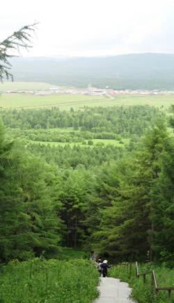  Introduction to Aershan National Forest Park